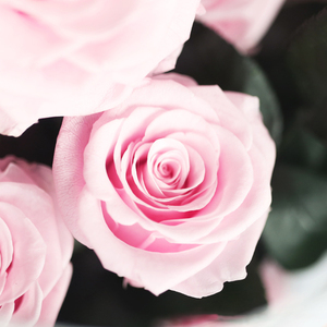 Vendita calda di san valentino regalo Enternal conserve di fiori Rose Box giardino <span class=keywords><strong>segreto</strong></span> per la festa della mamma San Valentino regali di nozze - Product Image 6