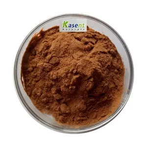 Wholesale High Quality water soluble green coffee bean extract powder