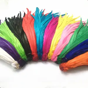 Plumes de coq longues teintées, haute qualité, 35-40 cm, à vendre