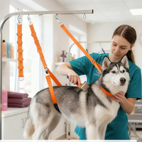 Sangle de contention pour toilettage canin, pour le bain et la coupe de poils, pour chiens de petite et moyenne taille