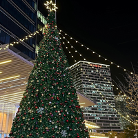 Nouvelle conception d'arbre de Noël traditionnel géant vert, taille personnalisée, arbre de Noël d'extérieur avec lumières LED et bulles