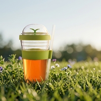 480ml (16oz) gobelet à café en plastique transparent à double couche créatif sans BPA avec paille tasse à boisson fantaisie
