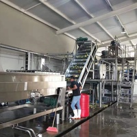 Máquina de Llenado Aséptico Industrial para Bolsas y Tambores, Línea de Llenado Aséptico de Pulpa, Máquina de Envasado de Líquidos UHT para Leche, Zumo y Bolsas