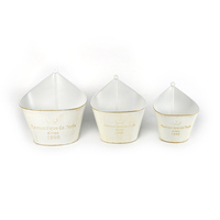 Pots suspendus en forme de seau à fleurs personnalisés Pots de plantes suspendus en métal et en fer simples Emballage de conteneur/emballage de cadeau blanc pour plantes d'intérieur