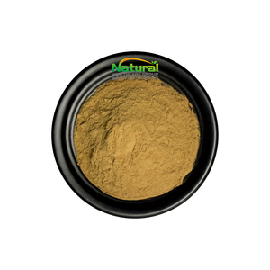 Natuurlijke <span class=keywords><strong>Momordica</strong></span> <span class=keywords><strong>Grosvenori</strong></span> <span class=keywords><strong>Extract</strong></span> <span class=keywords><strong>Pure</strong></span> Mogroside V 10% Zoetstof Monnik Fruit <span class=keywords><strong>Extract</strong></span> - Product Image 3