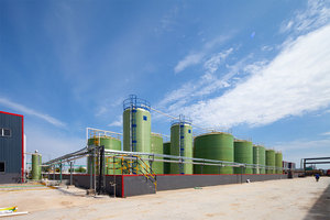 Acelerador de Caucho de Grado Industrial Baofull DPG/D, Diethyl Dithiocarbamate de Zinc (ZDC), Partículas Pre-dispersadas para Caucho Natural - Product Image 6
