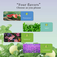 Bâton nasal rafraîchissant quotidien Bâtons d'inhalateur nasal aromatique rafraîchissant Bâton nasal pour respirer facilement avec fournisseur d'huile essentielle