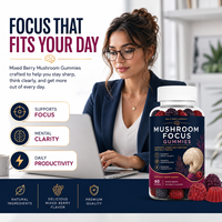 Op maat gemaakte formule paddenstoel nootropische gummies met Bacopa Monnieri & P-5-P vitamine B6 dagelijkse concentratie wellness gummy OEM
