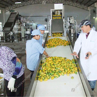 Fabricant de lignes de traitement industrielles complètes en acier inoxydable de qualité export pour fruits et légumes (mangues)