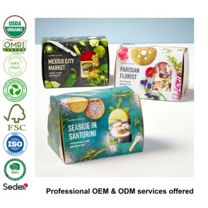 Trios de voyage Kit de culture de <span class=keywords><strong>jardin</strong></span> à la maison avec poivre de Cayenne plante pépinière Pot de fleur conception utilisation du sol cadeaux de jardinage idées de panier - Product Image 2
