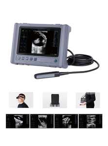 8 inch LED medisch display dierenscanmodus convexe <span class=keywords><strong>array</strong></span> line <span class=keywords><strong>array</strong></span> convexe probe veterinair echografie diagnostisch systeem - Product Image 3
