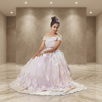 Elegante Vestido de Novia de Gala con Hombros Descubiertos, con Malla Bordada y Tul, Escote Corazón, Estilo Vintage
