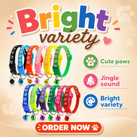 Collier personnalisé multicolore en nylon pour chien, chiot et chat, avec décoration en dentelle, robuste, pour l'entraînement, accessoire pour animaux de compagnie, à ouverture rapide, rembourré, haute qualité