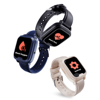 EV06 Montre pour handicapés visuels 4G GPS WiFi LBS Position Alarme de chute SOS Telecare Moniteur de santé avec bande en silicone
