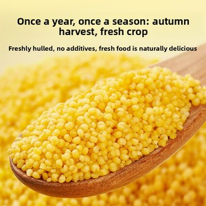 Chichuan Nouveau Riz Aohan Millet Jaune Bio de 25 ans de culture, Mélange de Céréales pour Porridge de Chifeng, Mongolie Intérieure, en Petite Boîte 1,5 kg - Product Image 2
