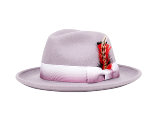 CL922201 Chapeau haut de forme unisexe en feutre 100 % laine, style mode, neuf, de marque CD, avec plumes de luxe, toutes saisons - Product Image 3