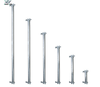 Andamios Ringlock de Acero Metálico para Construcción, Sistema Ringlock Estándar en Venta
