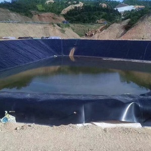 0.5-3mm EVA in plastica HDPE geomembrane per pesci diga stagno fodera per lago artificiale e discarica per acquacoltura - Product Image 3