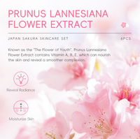 Ensemble de 6 produits de soins de la peau Sakura en gros: Nettoyant pour le visage Toner Lotion de soin de la peau Essence Crème pour les yeux Essence OEM