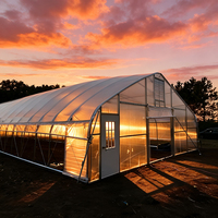 Serre agricole à tunnel haut, structure en acier galvanisé, film plastique écologique, serre pour la culture de tomates/laitues/piments