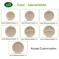 Assiettes rondes en papier pour le camping VVG Custom, 100% biodégradables et compostables, en pulpe de bagasse de canne à sucre, naturelles, blanches, 6/7/9/10/12 pouces