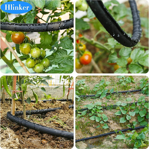 <span class=keywords><strong>Tubo</strong></span> <span class=keywords><strong>Irrigazione</strong></span> a Goccia Piatto GREAT IRRIGATION per Giardino, Prato e <span class=keywords><strong>Orto</strong></span> - Ottimizza l'Acqua - Product Image 4