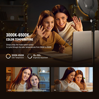 Anneau lumineux de bureau 7 pouces 10W à intensité variable avec éclairage plein écran et support pour téléphone, idéal pour le streaming en direct et les réunions Zoom