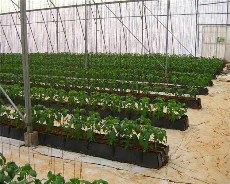 Sistem rumah kaca hidroponik penumbuh hidroponik pertanian