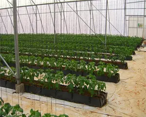 Hydroponics büyümek sera tarım hidroponik sera sistemleri