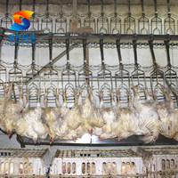 Équipement d'abattage de poulet 300BPH-15000BPH Prix ligne d'abattoir de poulet entièrement automatique