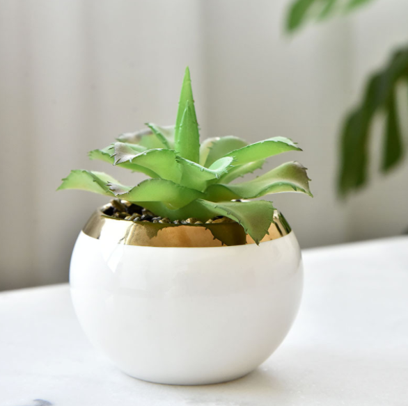 White pot