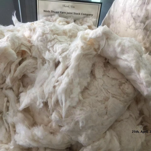 Coton peigné en noils, origine Vietnam, 100% coton naturel, fibre courte, application pour l'industrie textile, faible teneur en impuretés - Product Image 4