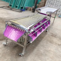 Citroen Sortering Aardbei Sinaasappel Knoflook Guave Granaatappel Klein Formaat Fruit Sorteermachine