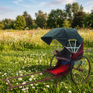 Nouveau Rickshaw Classique Ancien pour Passagers / Vélo-taxi OEM le Plus Récent à 2 Roues Tiré par des Chevaux Marque XCEGO Pneus en Caoutchouc Plein - Product Image 1