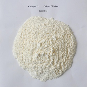 HALA GMP colágeno <span class=keywords><strong>tipo</strong></span> <span class=keywords><strong>2</strong></span> de pollo - Product Image 3