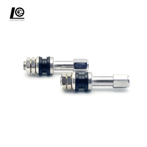 Vanne de pneu en fer en gros, vanne de pneu sans chambre à air pour moto TR48E - Product Image 5