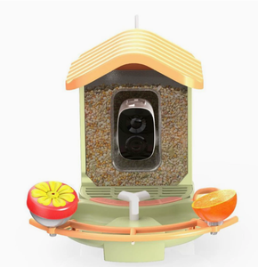Mangeoire à <span class=keywords><strong>oiseaux</strong></span> solaire intelligente ODM avec caméra 1080P, application <span class=keywords><strong>d</strong></span>'identification des <span class=keywords><strong>oiseaux</strong></span> par IA, reconnaissance automatique des <span class=keywords><strong>oiseaux</strong></span> par IA, <span class=keywords><strong>d</strong></span>étecteur <span class=keywords><strong>d</strong></span>'<span class=keywords><strong>oiseaux</strong></span> intelligent - Product Image 1