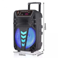 Altavoz de Karaoke Bluetooth con Micrófono, Bafle para Fiestas al Aire Libre, Altavoz de Karaoke de 12 Pulgadas con Micrófono y Bluetooth
