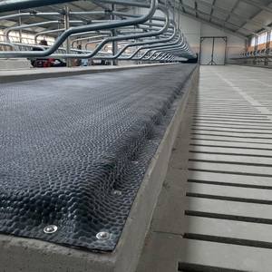 โรงงานผลิตแผ่นยางรองนอนวัวที่นุ่มสบาย เหมาะสำหรับโรงเรือนโคนมและโรงเรือนลูกวัว - Product Image 4