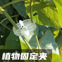 Artefact porte-plante Clip vigne plante verte