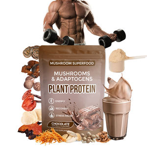 Extrait de champignon à marque privée, protéine végétale, superaliment, champignon crinière de <span class=keywords><strong>lion</strong></span>, adaptogènes, protéine de champignon - Product Image 1