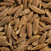 Biji Jintan Alami LPE-38 100% Murni & Tidak Dicampur Kemurnian Tinggi Biji Cuminum Cyminum CAS 8014-13-9 Kelas Terapi