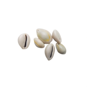 Perline di conchiglia Ilan 16-18 mm con foro laterale per fai da te, 6 pezzi - Product Image 1