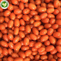 Buah Sea Buckthorn Kuning Liar IQF XMSD, Buah Seaberry Oranye Emas Manis Beku