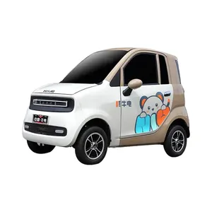 Quadricycle électrique fermé à 2 portes et 2 places, mini voiture électrique EV avec certificat EEC COC - Product Image 1