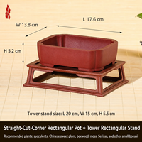 Maceta Cuadrada Creativa de Resina Estilo Chino para Orquídeas, Suculentas y Cactus con Diseño de Control de Raíces, para Balcón y Escritorio