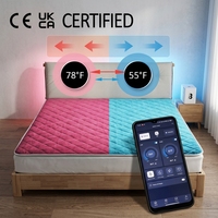 Système de refroidissement de lit intelligent à huit zones avec contrôle par application, certifié CE FCC, tapis rafraîchissant à base d'eau pour matelas, idéal pour les couples