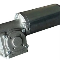 Moteur CC 24V pour mini-vélo électrique, couple élevé, faible vitesse, engrenage à vis sans fin, commutation sans balais, aimant permanent, appareil électroménager IE3 CE