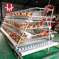 Cage à poules de type A à haute durabilité, en treillis métallique galvanisé antirouille, équipement pour poulailler, machine de collecte automatique des œufs