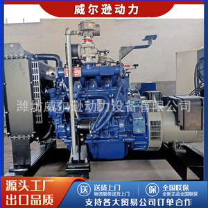Grupo Electrógeno de Gas Weifang de 30kW, Equipo de Energía con Motor de Gas Natural y Biogás - Product Image 4